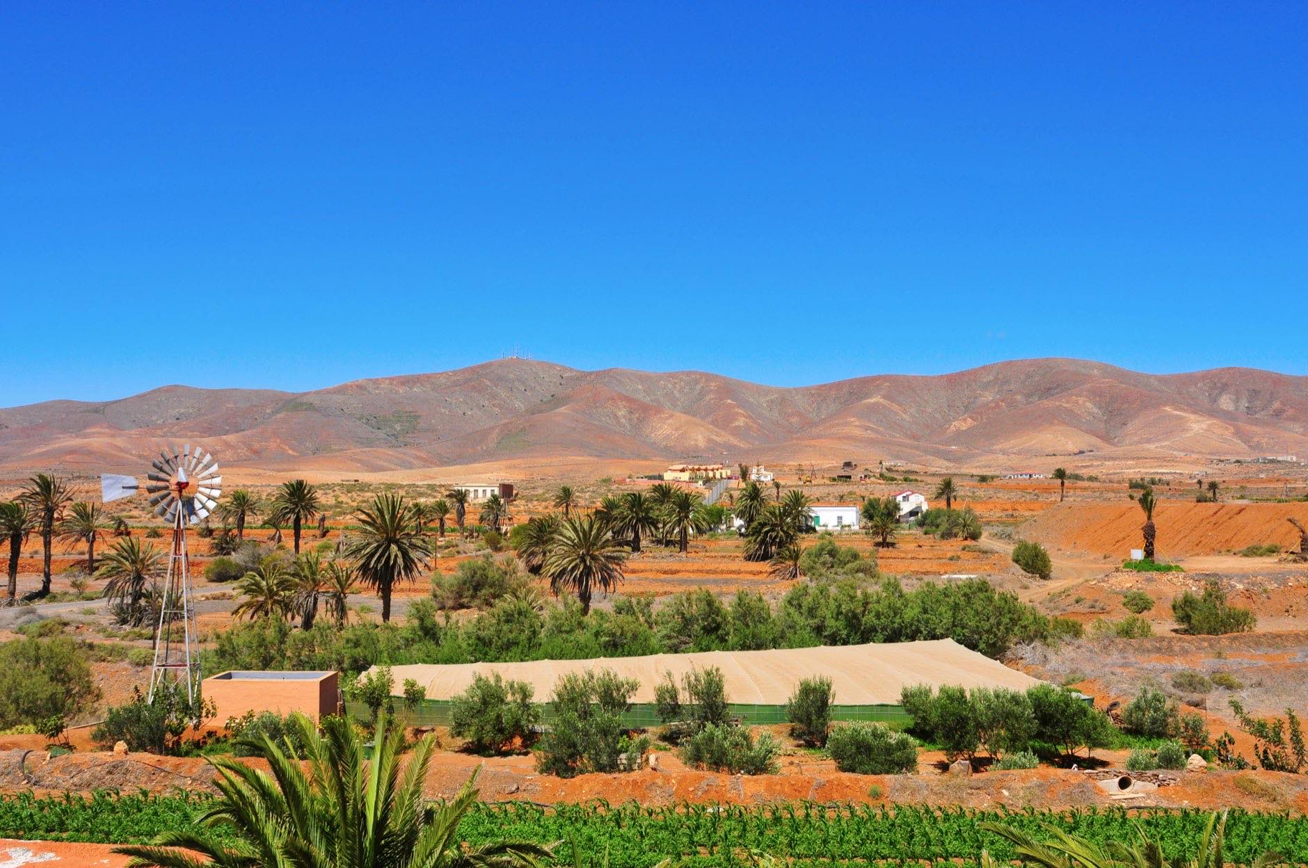 Landscape of Antigua, Fuerteventura, Canary Islands, Spain