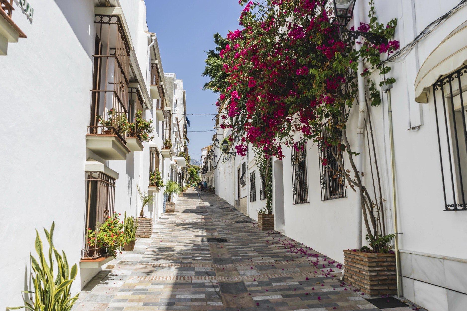 Typical Andalusian streets and balconies with flowers in Marbella Andalucia Spain