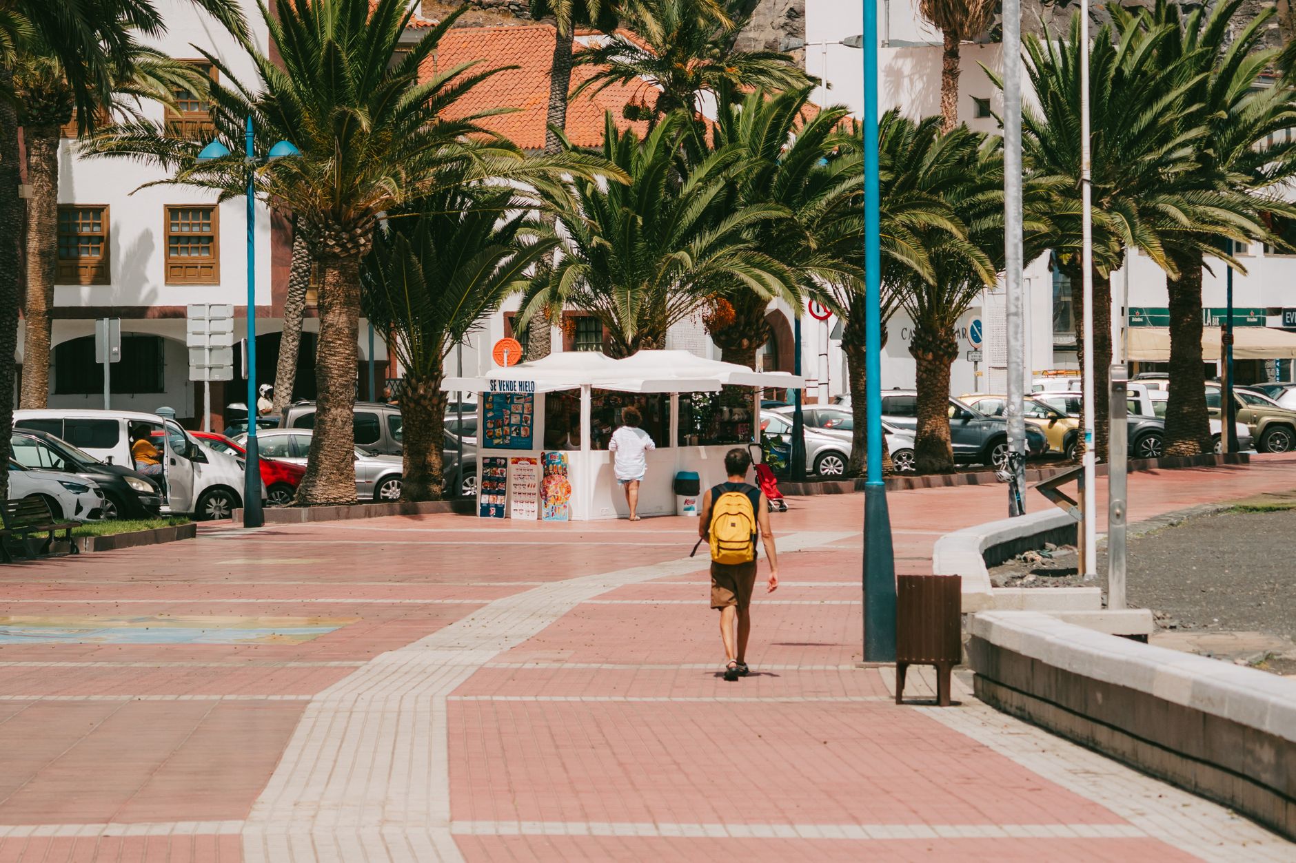 A solo traveler walks along a sunny promenade lined with palm trees in San Sebastián de La Gomera.